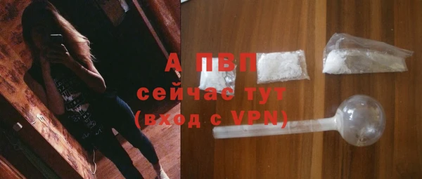 apvp Бородино