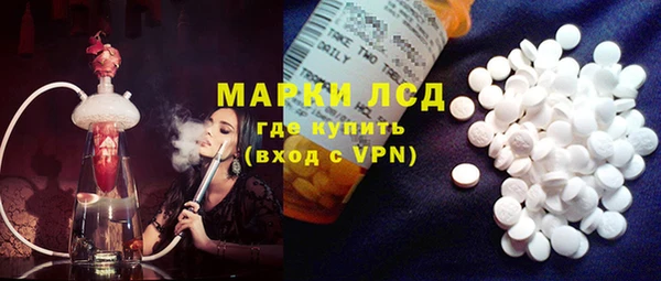 apvp Бородино