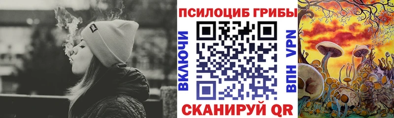 Галлюциногенные грибы GOLDEN TEACHER купить наркоту Кола