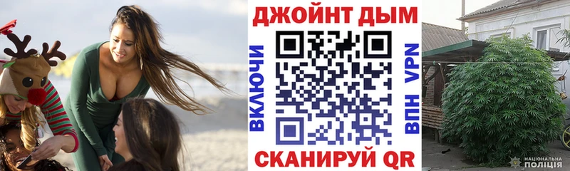 Канабис сатива KRAKEN маркетплейс Кола